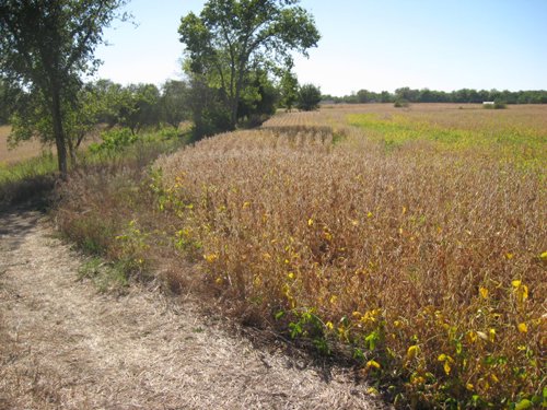 Property photo 90 - 80 Acres Offered in 4 Tracts - Horse Farm